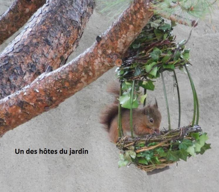 Deux Tentes Confortables Dans Un Joli Jardin Idealement Situe Sete